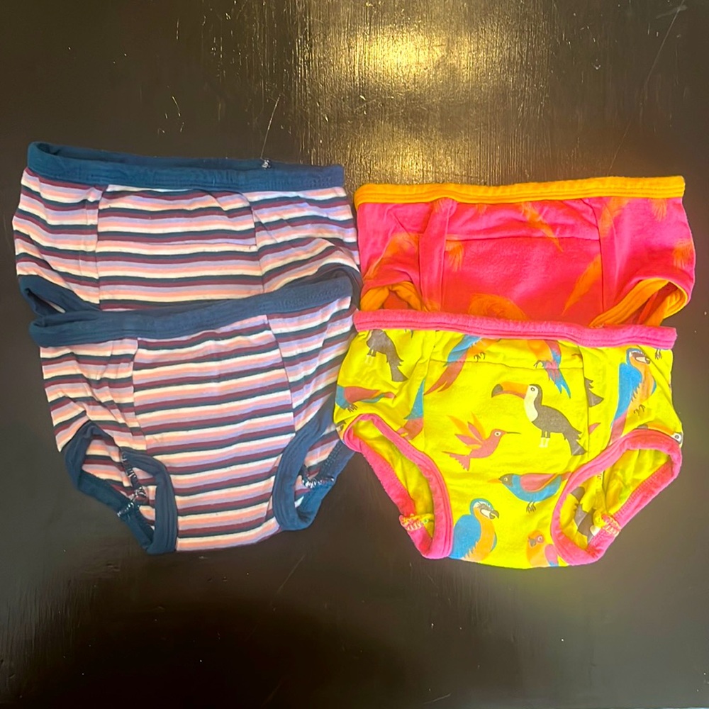 Kickee Pants Training Underwear